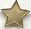 Gold Star Enamel Badge
